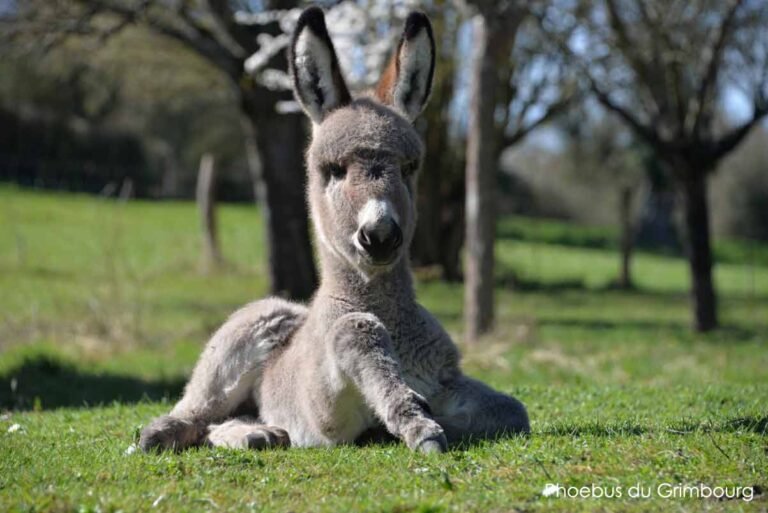 Rien que pour les yeux