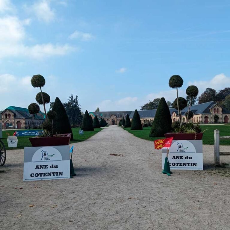 Concours de modèles 2025