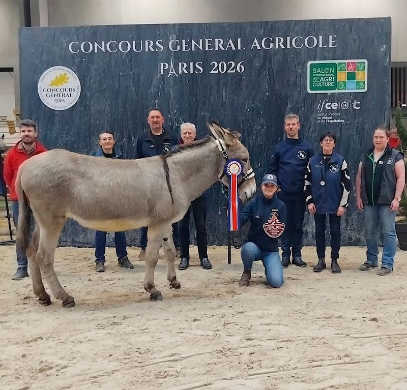 Itsuco des Amériaux et Neige de Vibraye brillent au SIA