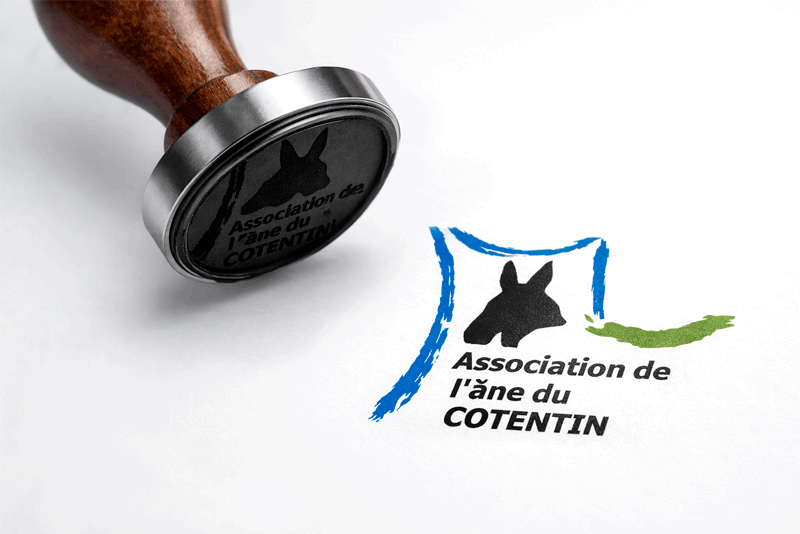 Achetez un âne du Cotentin