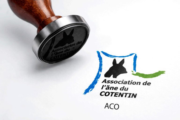 Achetez un âne du Cotentin